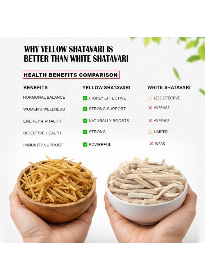 BrijBooti Shatavari Root 200 Gr Raw Indian Asparagus Racemosus Yellow Shatawar satawari Pure Yellow Root - Natural Satavar | FSSAI, GMP, ISO Certified - Image 5